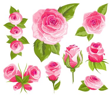 Vintage çiçek ayarlayın. Pembe güller ve tomurcukları. Düğün çiçek demeti. Suluboya ayrıntılı el topluluğu çiçek gül çizilmiş. Vektör çizim.