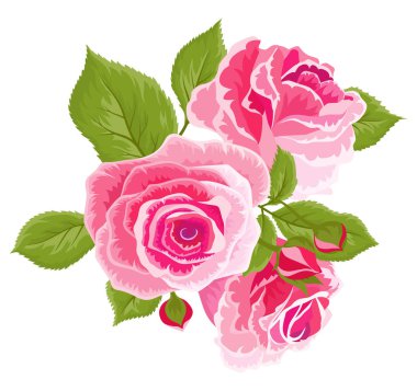 Pembe güller ve tomurcukları. Vintage çiçek ayarlayın. Düğün çiçek demeti. Giyim ve tekstil baskı tasarımı süsleme güller çiçek koleksiyonu. Çerçeve tasarımı için. Vektör çizim.