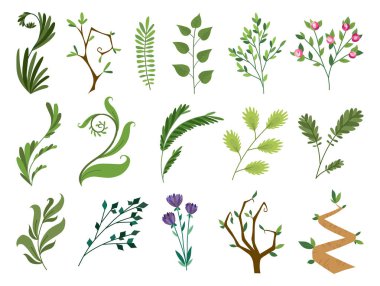 Vektör tasarımcı öğeleri yeşil orman fern koleksiyonu ayarla, tropikal yeşil okaliptüs yeşil sanat yeşillik doğal otlar, gül, çiçek suluboya tarzında bırakır. Gösterim amacıyla tasarım.
