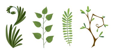 Yeşil orman fern, tropikal yeşil okaliptüs yeşil sanat yeşillik doğal şube, vektör tasarım öğeleri kümesi topluluğu otlar suluboya tarzında bırakır. Gösterim amacıyla tasarım.