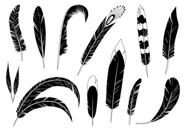 Gerçekçi ayrıntılı tüyler seti, el çizimi vektör çizimi, beyaza izole edilmiş siyah mürekkep grafiği. İzler, kartlar, desenler, dövme tasarımı için sanat dekoratif ögesi.