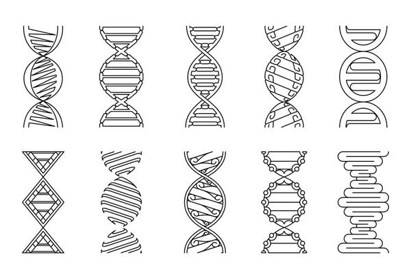 DNA icons set vector illustration. Coloring book collection. — Stock Vector