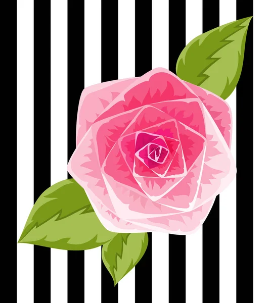 Pink rose bud illustration insolated flower on strip background. — Stock Vector