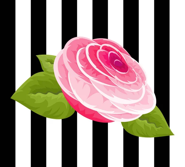 Rózsaszín rózsák és rügyek. Vintage virágok beállítása. Esküvői virágok csomag. A textil- és ruha nyomtatott design dísz Rózsa virág-gyűjtemény. A keretek kialakítása. Vektoros illusztráció. — Stock Vector