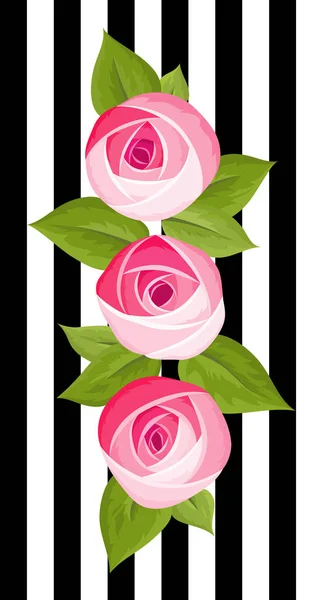 Τρία διάνυσμα όμορφο λουλούδι βαθύ ροζ τριαντάφυλλο απομονώνεται σε φόντο λωρίδα. — Διανυσματικό Αρχείο
