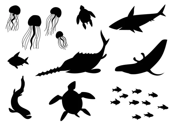 Силуэты Vector of Fish, Sea life, Marine life, seafood. Комплект симпатичной коллекции икон на белом фоне . — стоковый вектор