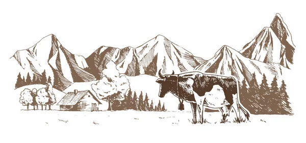 Γαλακτοκομική φάρμα. Οι αγελάδες βόσκουν στο λιβάδι. Αγροτικό τοπίο, χωριό vintage σκίτσο. — Διανυσματικό Αρχείο