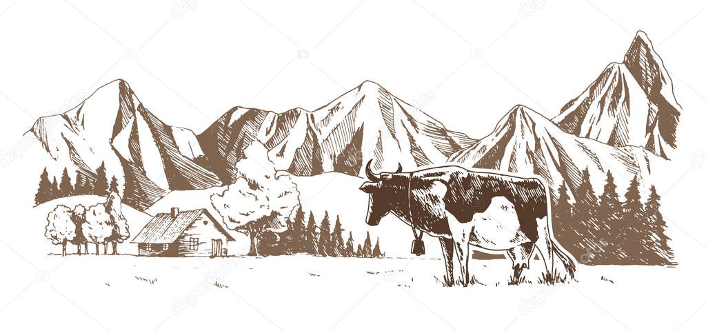 Dairy farm. Cows graze in the meadow. Rural landscape, village vintage sketch.