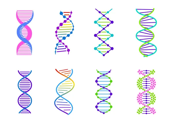 DNA molecule sign set, genetic elements and icons collection strand. Vector color gradient illustration. — Stock Vector