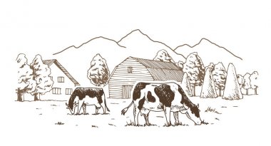 Mandıra. İnekler çayırda otlar. Kırsal peyzaj, köy vintage kroki.