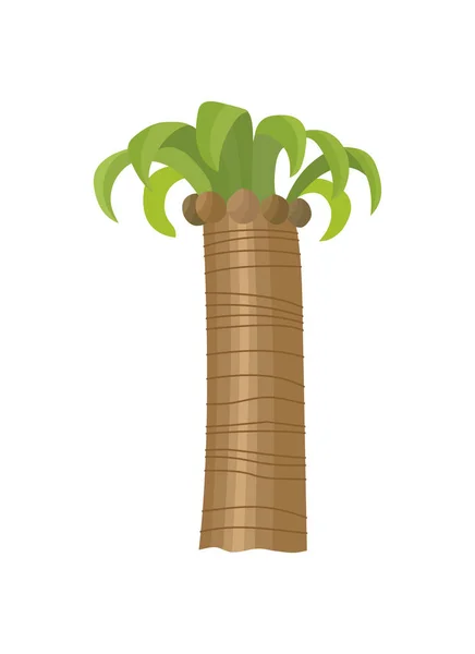 Ilustración vectorial palmera aislada sobre fondo blanco. Árbol de coco. Palmera. Turismo, símbolo de viaje, signo . — Vector de stock