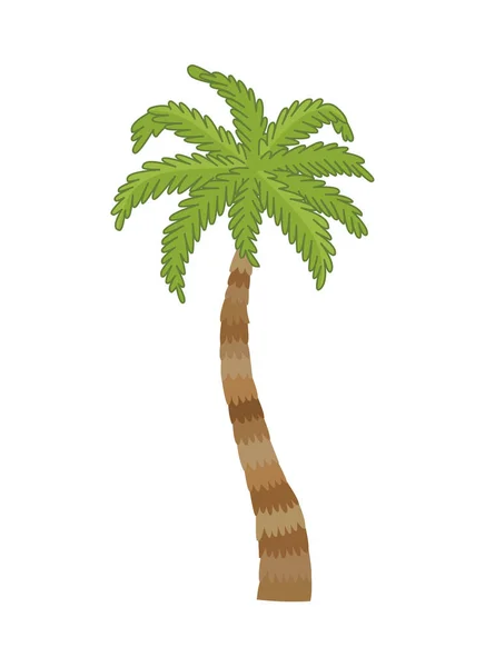 Vektor illustration palm tree isolerad på vit bakgrund. Kokosnöt träd. Palm tree. Turism, resor symbol, underteckna. — Stock vektor