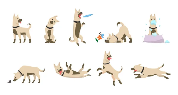 Zeichentrickfilm. Hunde Tricks Symbole und Action-Training graben Schmutz essen Tiernahrung springen wackeln Schlaf laufen und bellen braun glücklich niedliches Tier posiert Vektor isoliert Symbol Illustration. — Stockvektor