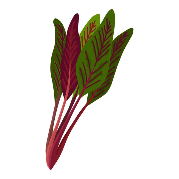 Salade verte de légumes et herbes frais, nourriture végétarienne bio, illustration vectorielle isolée sur fond blanc . — Image vectorielle