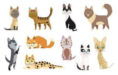 Sevimli çizgi kitties veya farklı renkli kürk ve işaretler oturan veya yürüyüş vektör çizimler ayakta kedi.