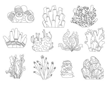 Bir dizi karikatür, su altı bitkileri ve yaratıkların boyama kitabı sayfası. İzole mercanlar ve yosunlar.