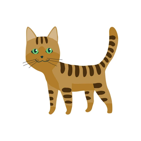 Roztomilé kreslené koťátko nebo kočka s barevnými kožešinové vektorové ilustrace. — Stockový vektor