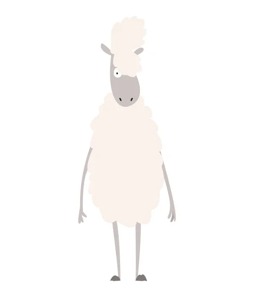 Des moutons. Illustration vectorielle du dessin animé animal domestique . — Image vectorielle