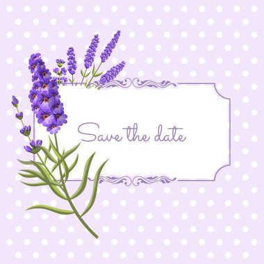 Nokta arka plan provence tarzında lavanta ile Vintage çiçek çerçeve.