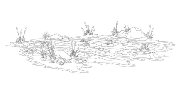Colorir lagoa de água com juncos e pedras ao redor. Conceito de pequeno lago pântano aberto em estilo paisagem natural. Projeto gráfico para estação de primavera —  Vetores de Stock