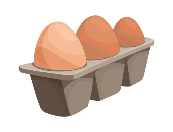 Ovos de galinha em caixa de cartão isolados sobre fundo branco. Bandeja de papelão com ovos castanhos, vista frontal. Alimentos dietéticos orgânicos saudáveis. Ovos de galinha frescos em caixa — Vetor de Stock