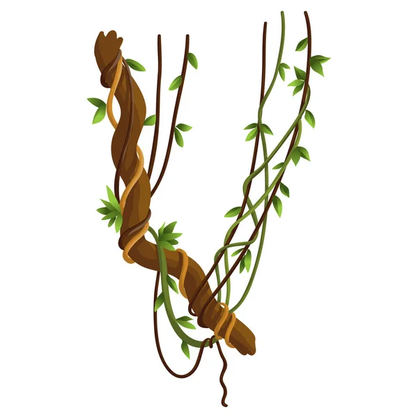 Banner de ramas de lianas silvestres retorcidas. Plantas de la selva. Bosque tropical natural leñoso — Vector de stock