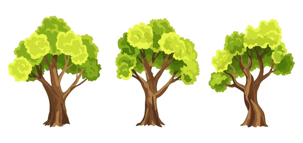 Bäume mit grünem Laub. Set abstrakter stilisierter Bäume. Natürliche Illustration — Stockvektor