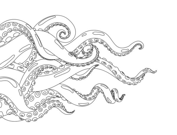 Осьминог. Ручной рисунок осьминога. Карикатура на подводное морское животное. Цветовая векторная иллюстрация кракена или кальмара. Части тела выступают из вне рамы
