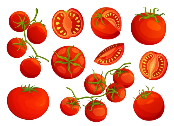 西红柿。收集从白色背景分离出来的碎番茄。病媒新鲜的红色西红柿。一个西红柿，半个西红柿，一片西红柿，樱桃西红柿 — 图库矢量图片