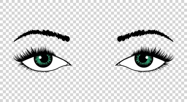 Vector eyes. Hand drawn female luxury eye with perfectly shaped eyebrows and full eyelashes. The perfect look. Health glamour design — Stock Vector