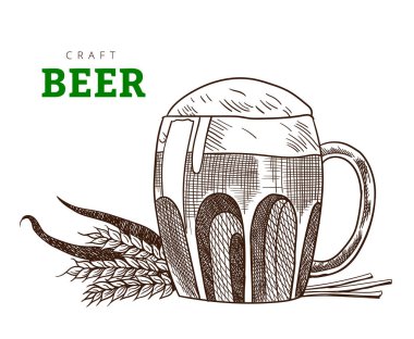 Bira bardağı ya da buğday kulaklı kupa. El yapımı bira partisi, klasik vektör kabartma illüstrasyonu. El çizimi pankart tasarımı