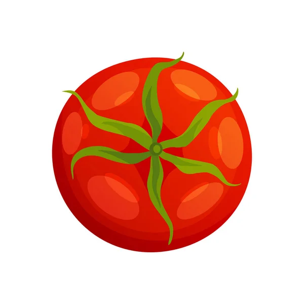 Tomate. Tomate vermelho saudável fresco feito em estilo plano. Tomate único. Comida vegetariana. Vegetais da quinta. Comida orgânica. Ilustração vetorial de tomate —  Vetores de Stock
