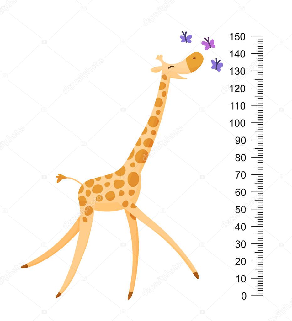 Funny giraffe. Cheerful funny giraffe with long neck. Giraffe meter wall or height chart or wall sticker. Illustration with scale from 2 to 150 centimeter to measure growth