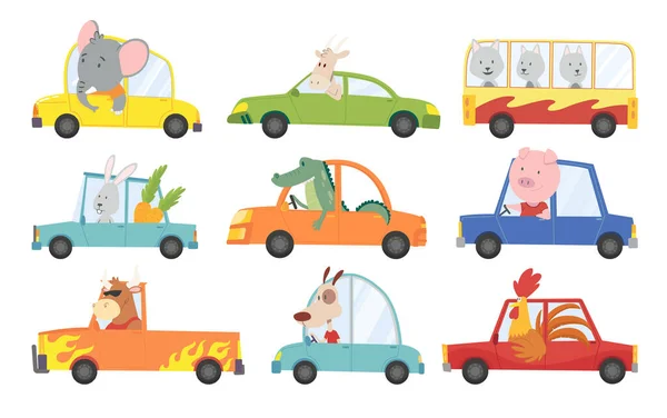 Conjunto colorido de transporte de crianças com pequenos animais bonitos carro de condução. Coleção animada motorista animal, animais de estimação veículo e feliz em carros engraçados. Transporte de animais personagem viajar em carros —  Vetores de Stock