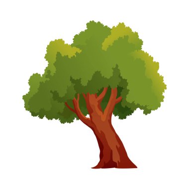 Ağaç, eski orman vektör çizimi.