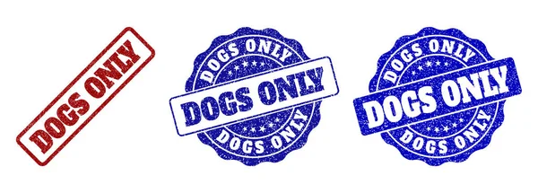 DOGS SOLO Guarnizioni di francobolli graffiati — Vettoriale Stock