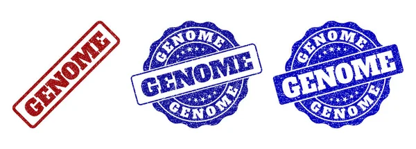 Segel Stamp Grunge GENOME - Stok Vektor