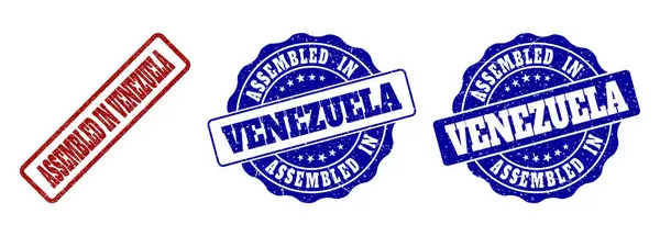 ASSEMBLÉE DANS LE VENEZUELA Sceaux de timbre rayés — Image vectorielle