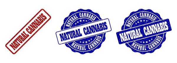 Natürlicher Cannabis-Grunge-Stempel — Stockvektor