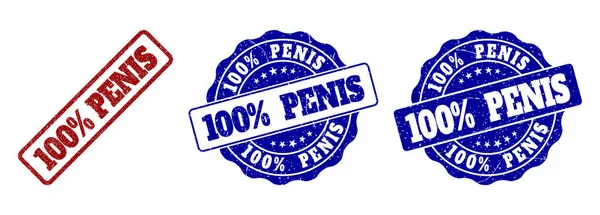 100 PERCENTOS PENIS Selos de carimbo riscados — Vetor de Stock