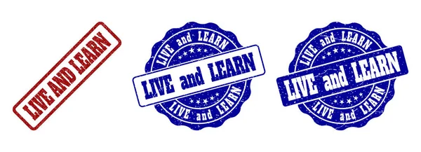 LIVE AND LEARN Grunge Stamp Seals — Stock Vector
