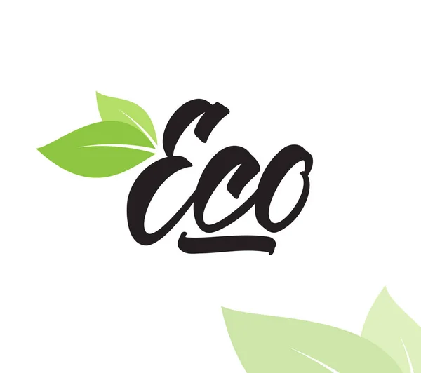 Lettrage manuscrit de type Eco avec feuilles vertes . — Image vectorielle