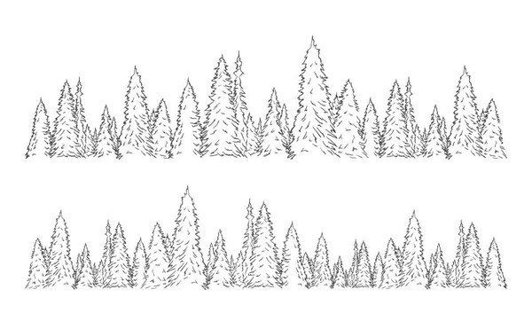 Set of two hand drawn sketch pine forest. Christmas banner template.