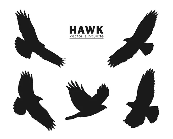 Ilustración vectorial: Conjunto de siluetas de halcón volador aisladas sobre fondo blanco. Águilas negras . — Archivo Imágenes Vectoriales