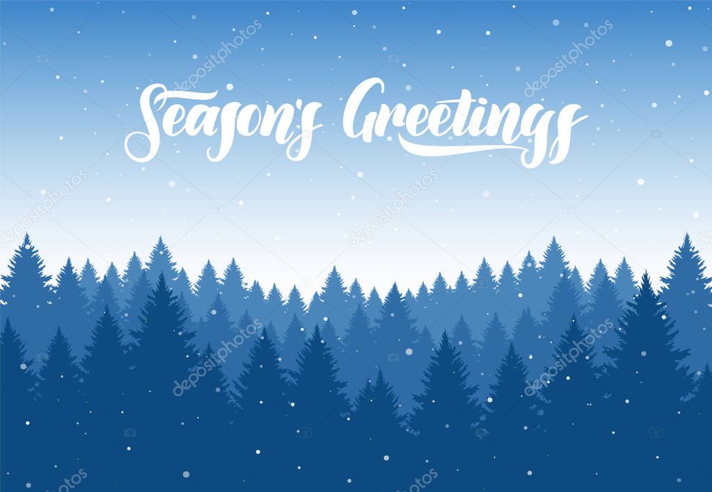 Vector winter Christmas forest background with snowflakes and hand letterin of Season's Greetings.