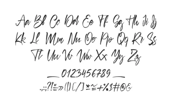 Escova caligráfica manuscrita full Font. Letras do alfabeto inglês sobre fundo branco. Números e pontuação . — Vetor de Stock