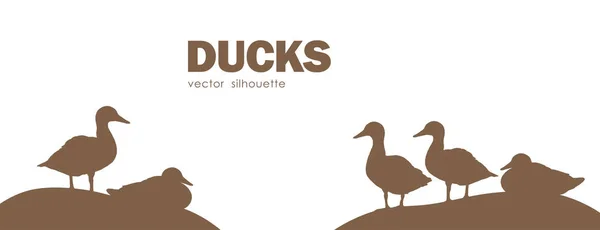 Diseño Vector Banner con Silueta de patos aislados sobre fondo blanco. — Archivo Imágenes Vectoriales