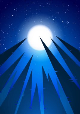 Vektör illüstrasyonu: Gece arkaplanındaki çam ormanı.