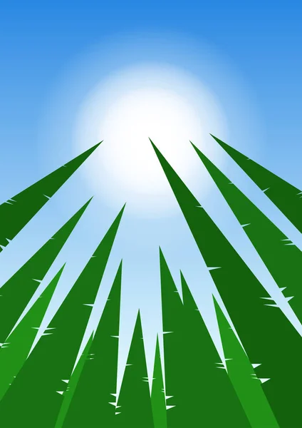Illustration Vectorielle Forêt Pins Géométriques Sur Fond Ciel Bleu — Image vectorielle