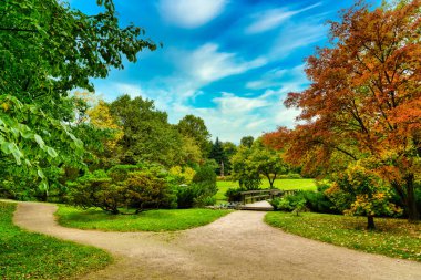 Sonbahar bahçesindeki toprak patikalar